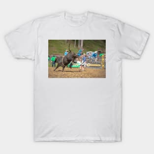 RODEOS, HORSES, COWBOYS T-Shirt